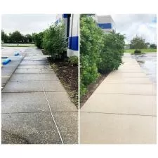 Commercial exterior cleaning st charles parish la 006