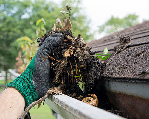 Gutter Cleaning